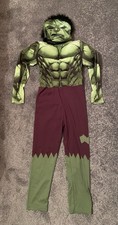 Hulk Fancy Dress Costume -